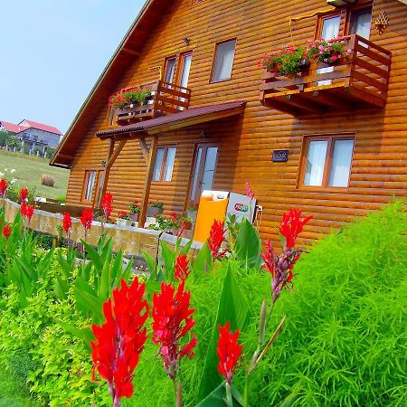 Casa Altius Felix Lejlighed Băile Felix Eksteriør billede