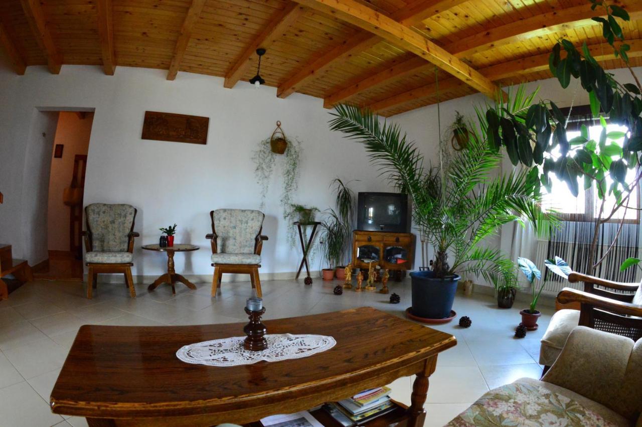Casa Altius Felix Lejlighed Băile Felix Eksteriør billede